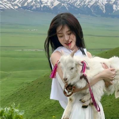狐狸与猎狗